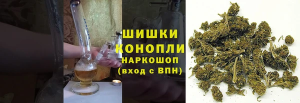 mdpv Ельня