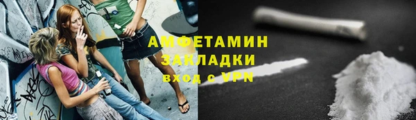 сатива Елизово