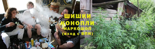 сатива Елизово