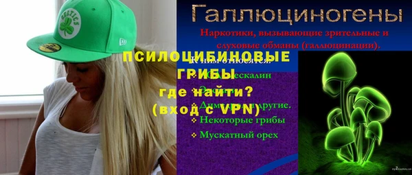 сатива Елизово
