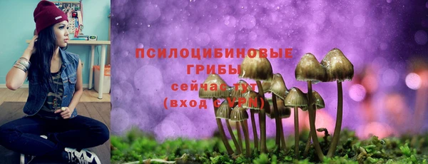 mdpv Ельня